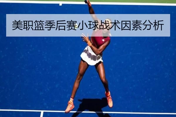 美职篮季后赛小球战术因素分析